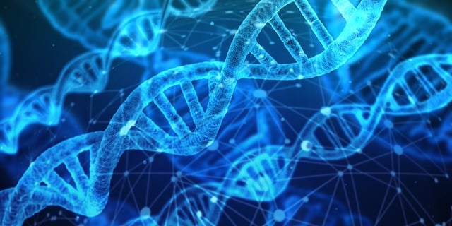 iPSC（誘導性多能幹細胞）技術榮獲諾貝爾醫學獎